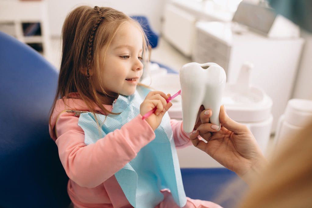 Quanti sono i denti da latte e come prendersene cura 1 Quanti sono i denti da latte